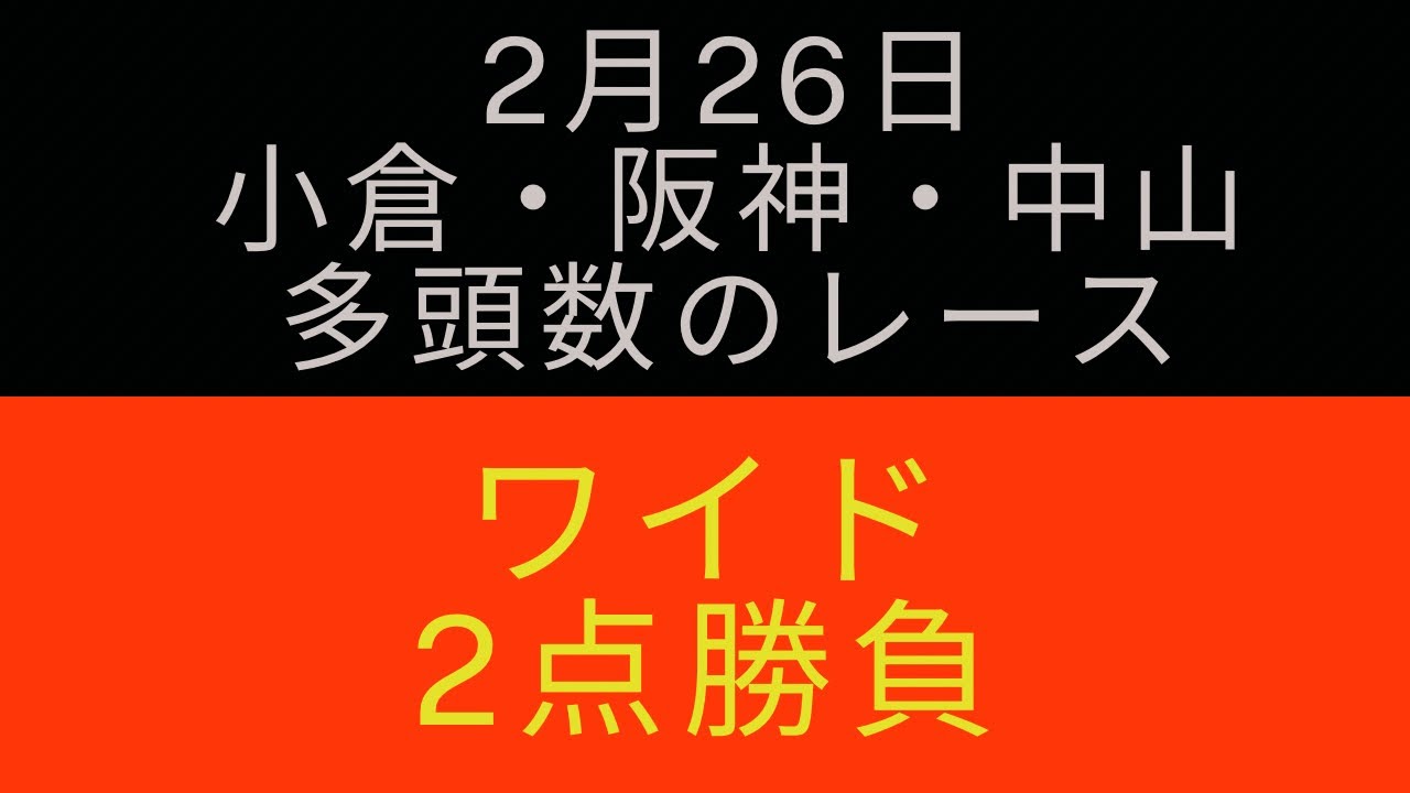 ［日曜日競馬］多頭数のレースをワイド2点で勝負！　　　#競馬 #競馬予想 #ワイド