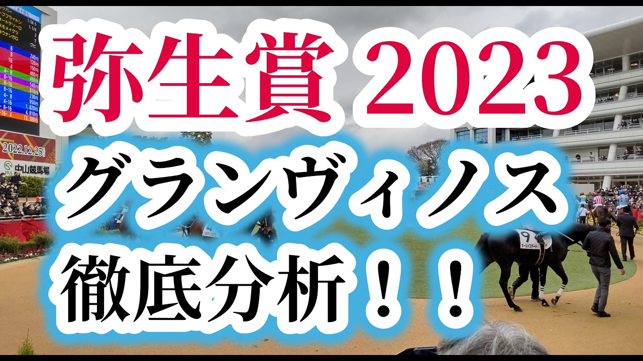 【グランヴィノス】【弥生賞2023】レース回顧と適性診断で徹底分析！！