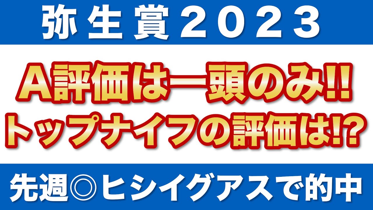 【弥生賞ディープインパクト記念2023 予想】ラップ適性A評価は一頭のみ！トップナイフの評価は！？
