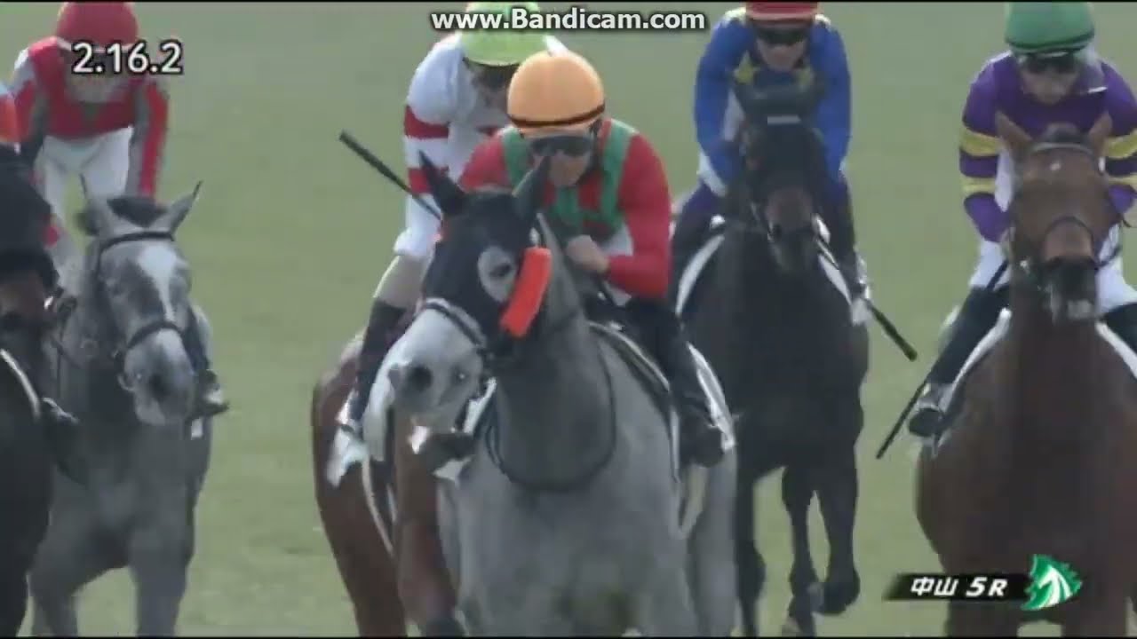 2023年1月22日　中山5R　3歳未勝利　ペリプルス