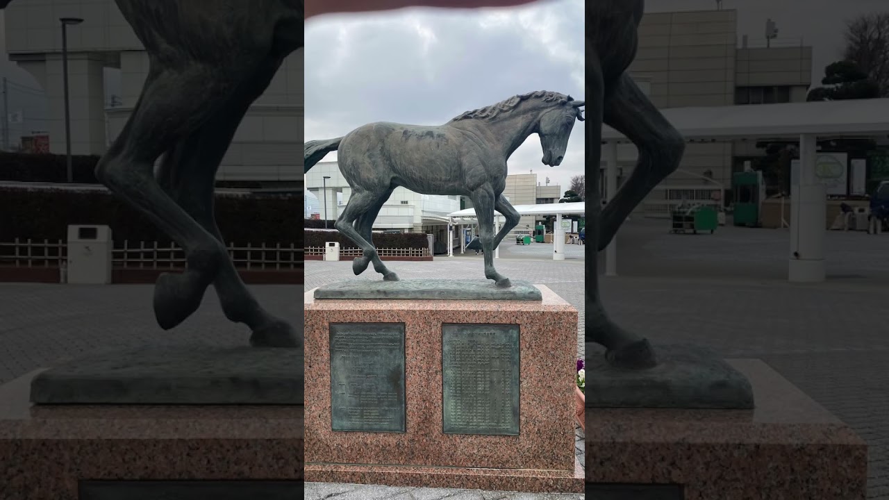 中山競馬場！