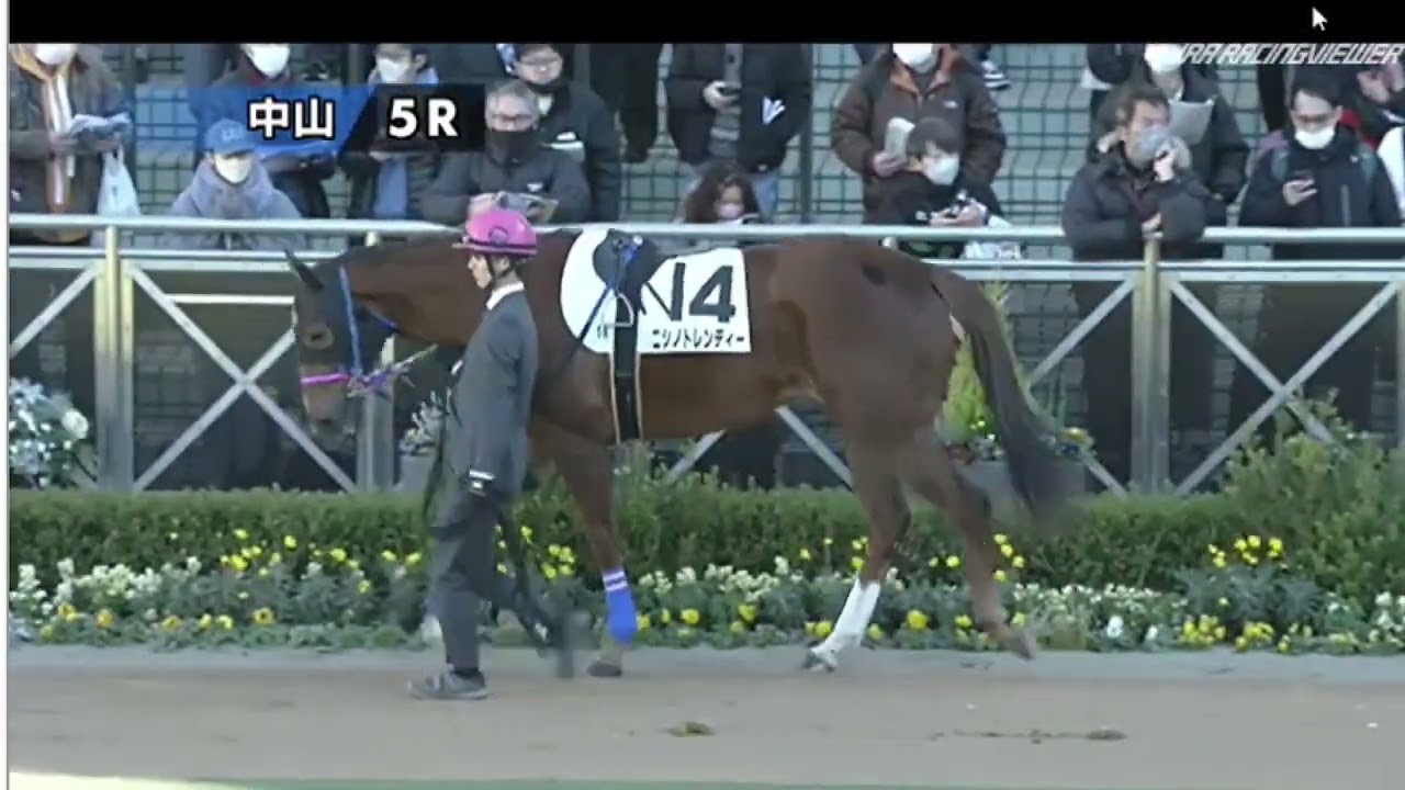 【激走】1番人気はこない！2月26日（日）中山競馬第3レース