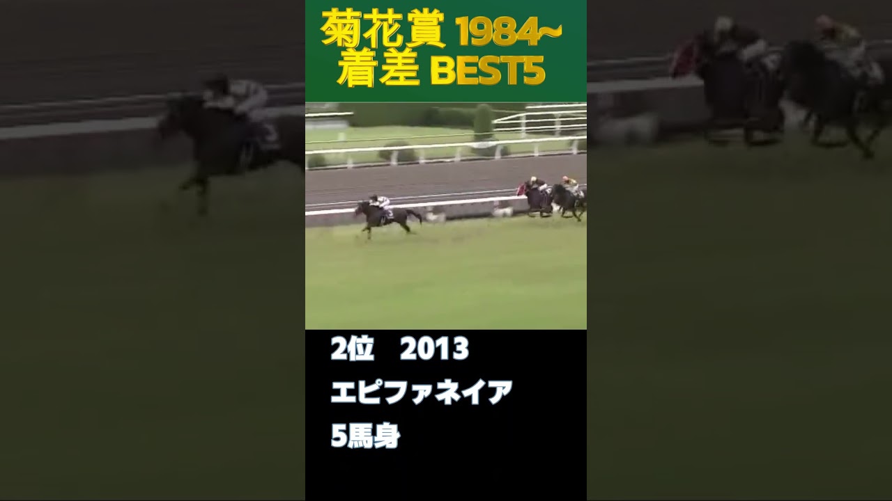 菊花賞を圧勝した馬は？着差ランキングBEST5 #shorts