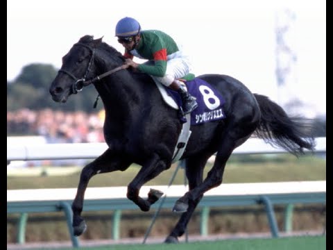中央競馬　2002　ＧⅠレース　Japan Racing Association 2002 Grade 1 race　シンボリクリスエス　タニノギムレット　ファインモーション　マンハッタンカフェ