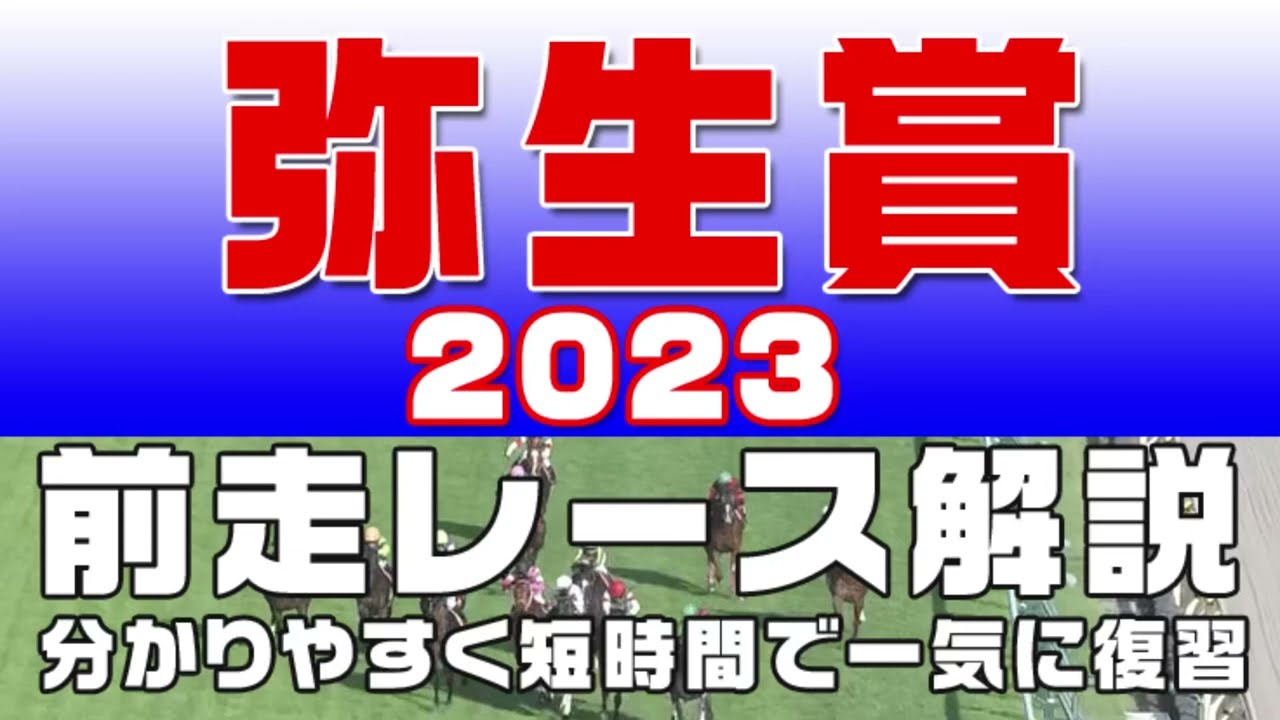 【弥生賞ディープインパクト記念 2023】参考レース解説。弥生賞2023の登録予定馬のこれまでのレースぶりを初心者にも分かりやすい解説で振り返りました。