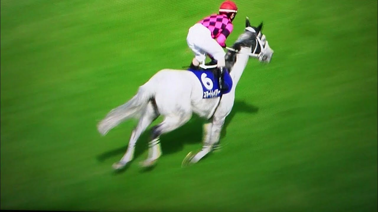 2018年☆大阪杯(G1)本馬場入場～スワーヴリチャード・サトノダイヤモンド・アルアイン他