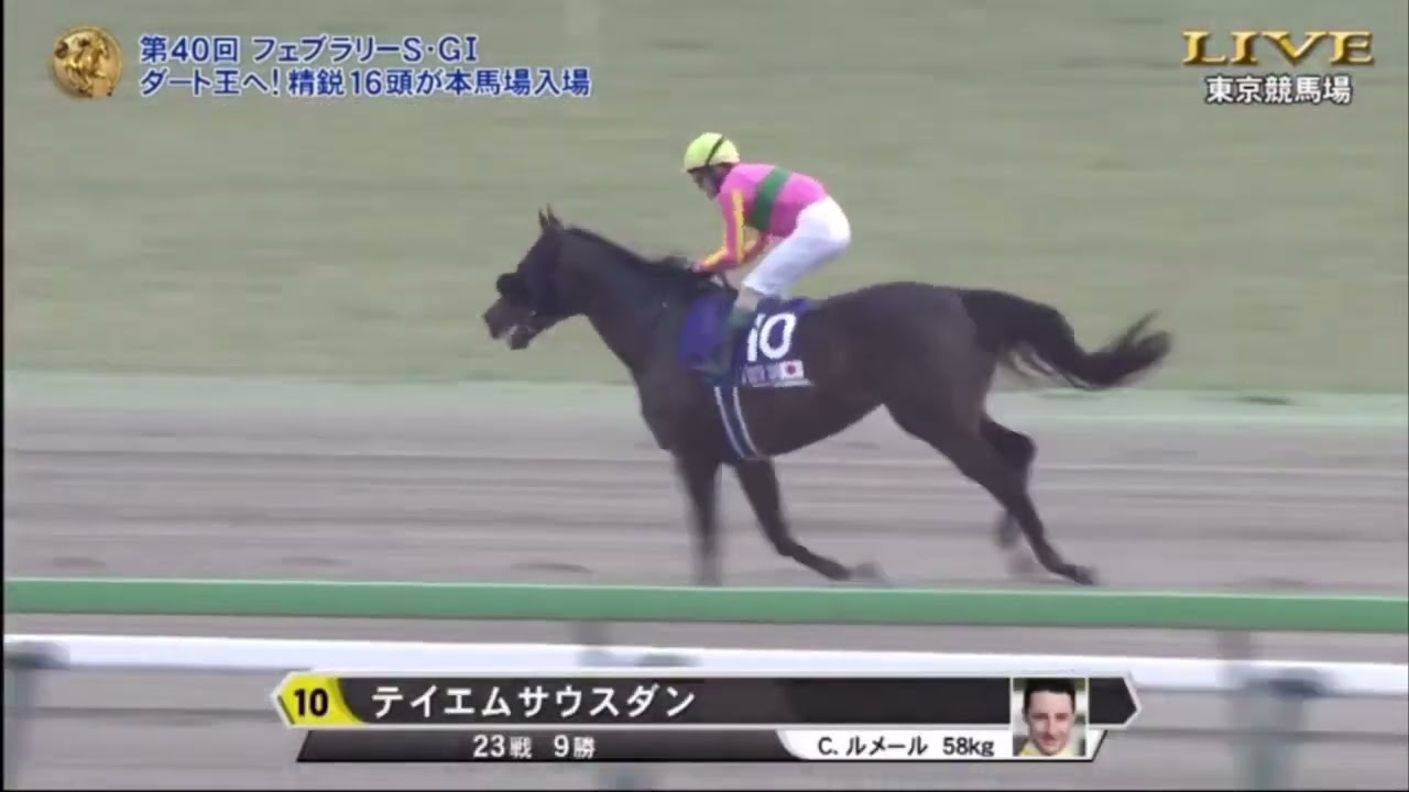 2023【フェブラリーステークス】本馬場入場