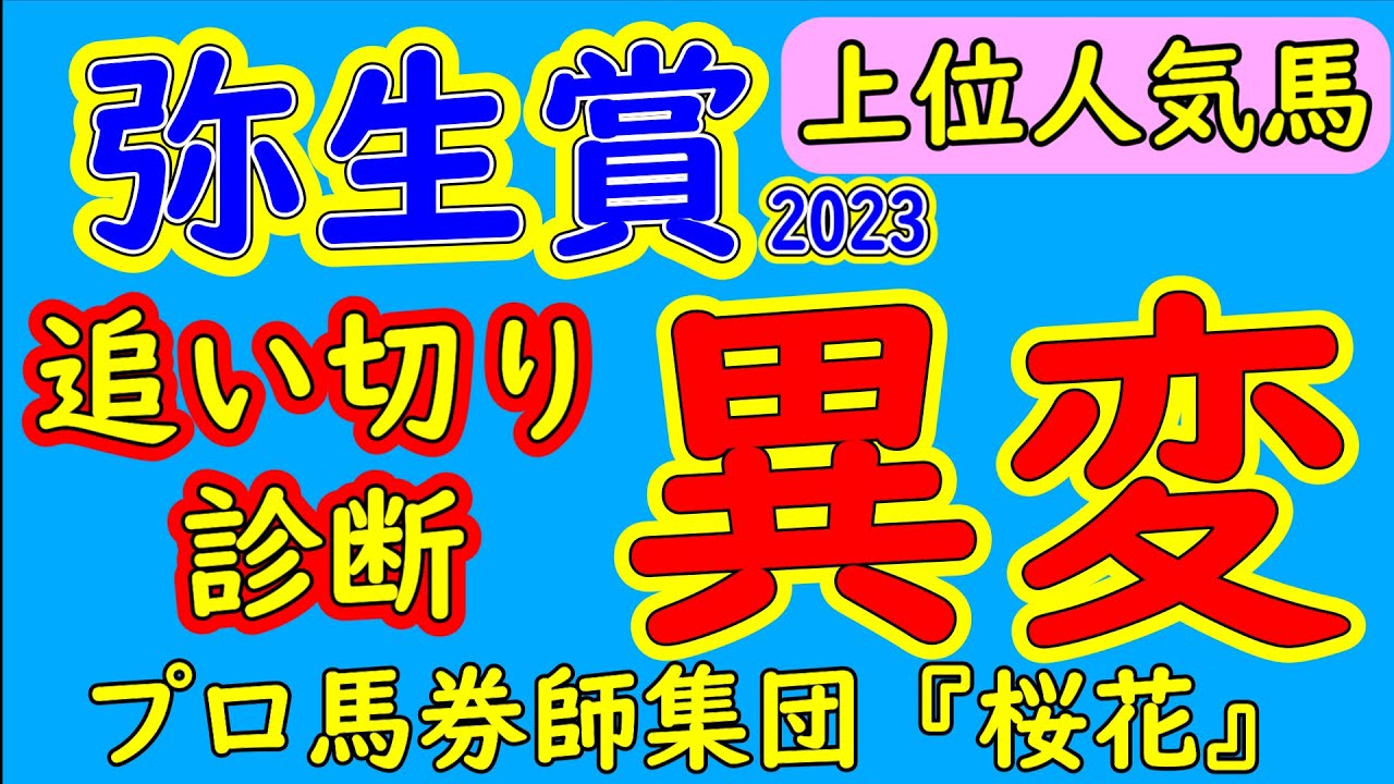 弥生賞2023追い切り診断！人気実力共に上位評価されそうな馬の動きが硬く見え不安を残した！一方、有力馬が続々と回避してチャンスが出てきた隠れた実力馬が追い切りの動きもＡ評価！