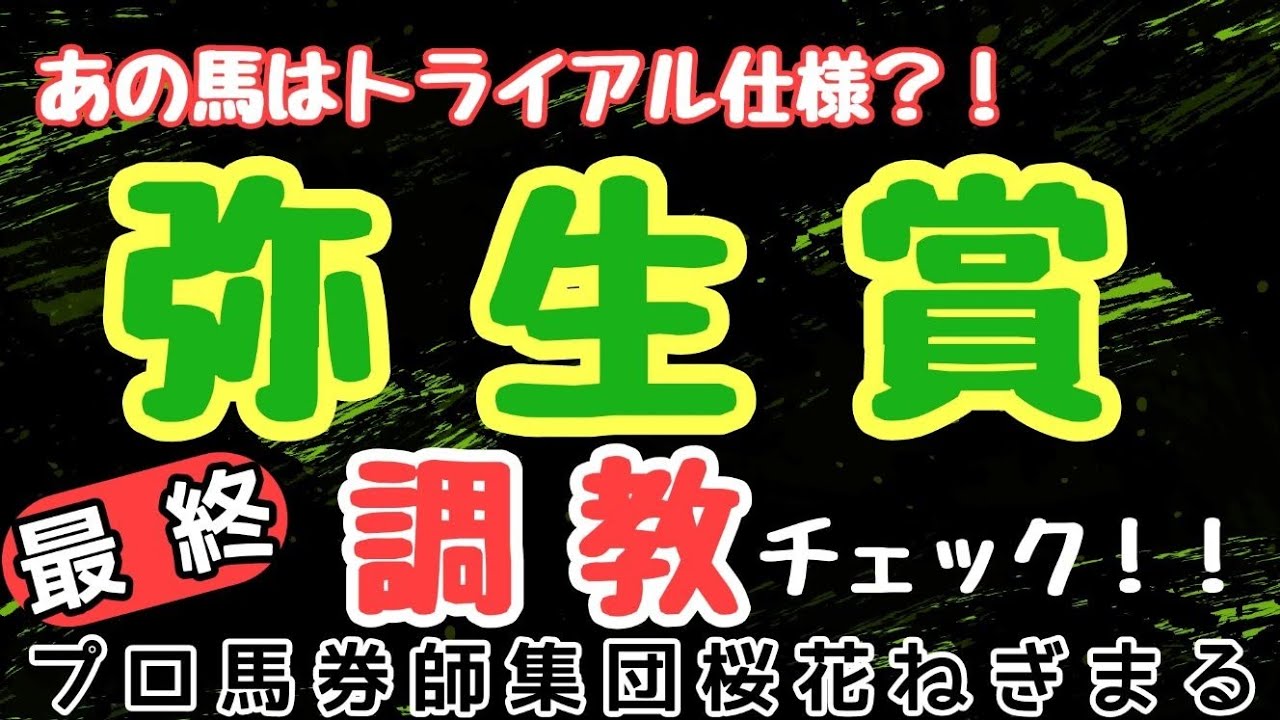 あの馬はトライアル仕様？！プロ馬券師集団桜花ねぎまる氏が見た弥生賞2023最終調教チェック！！