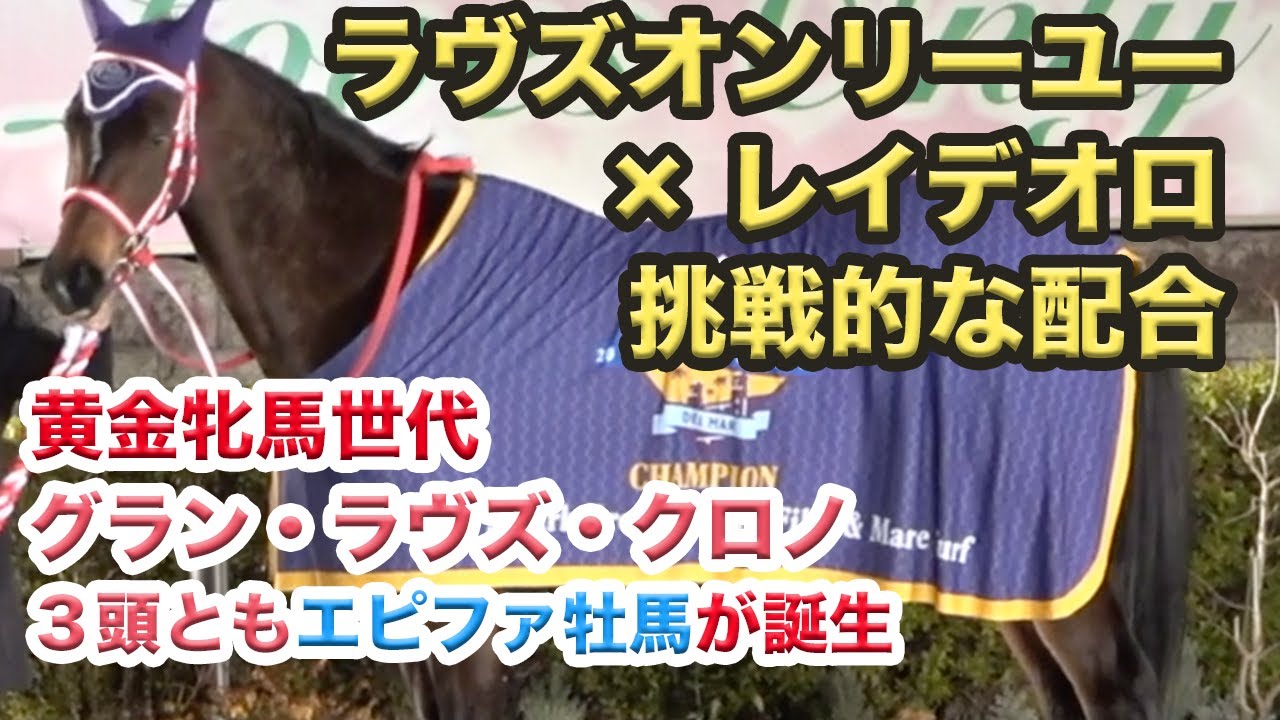 ラヴズオンリーユーに初仔誕生 黄金牝馬世代3頭は牡馬のママに 今度はラヴズ×レイデオロの挑戦的配合へ