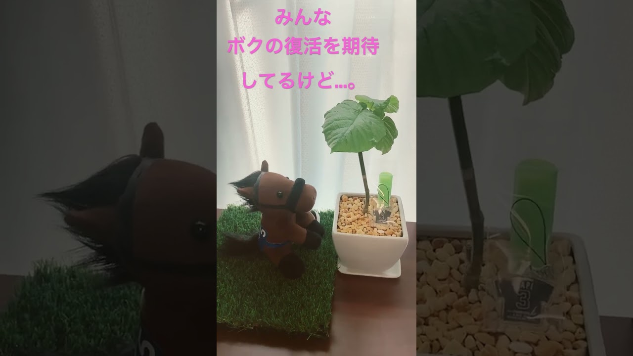 エフフォーリアの内心…。