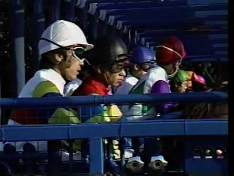 【若き天才武豊+晩成の高速ステイヤー ＧⅠ初勝利】　第４９回　菊花賞 （ＧⅠ）　スーパークリーク　1988.11.6　　出走馬：ヤエノムテキ、ケイコバン他　　実況：杉本清　　＃キャッスルリバー