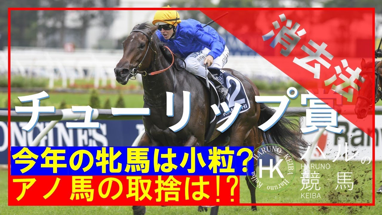 チューリップ賞2023　消去データ編！！有力馬の出走が少なく混戦も...消去データを潜り抜けたのは...！！