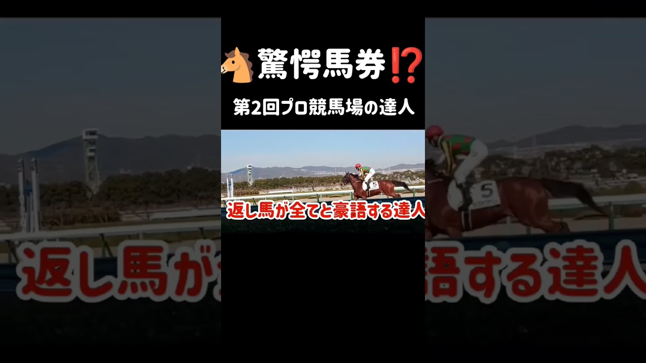これはCMです 第二回プロ競馬場の達人 阪神競馬場有馬記念裏で万馬券🎯？