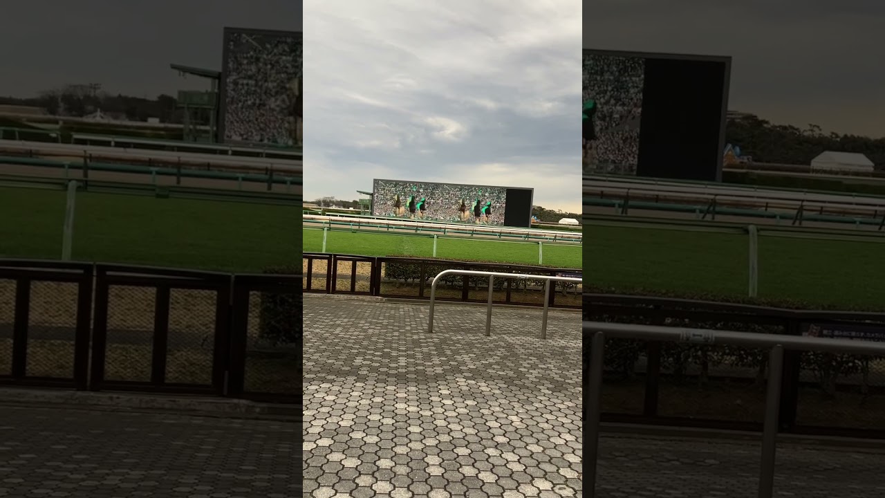 中山競馬場で聞くフェブラリーSのファンファーレ #競馬 #競馬予想 #こしゃまあ#shorts