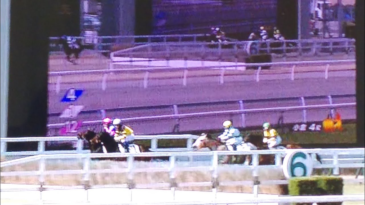 小倉4レース障害未勝利 ドンシャーク