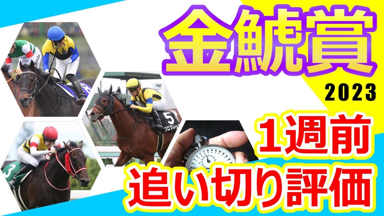 【金鯱賞2023】1週前追い切り評価　Ｇ１大阪杯に向けたハイレベルメンバー前哨戦‼︎重賞初制覇を狙うプログノーシスや重賞でも高い安定感を見せるフェーングロッテンなど出走各馬の仕上がり具合をチェック‼︎