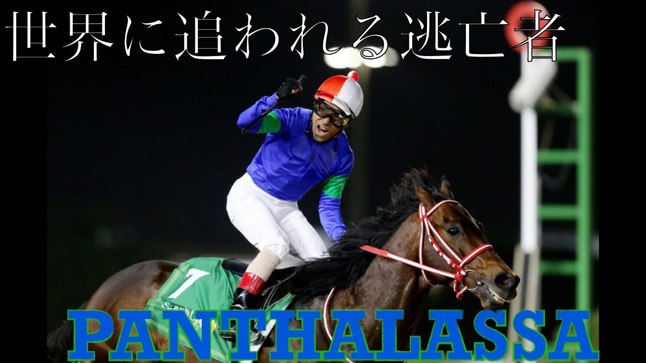 【競馬MAD】世界の最前線【パンサラッサ】