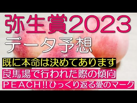 弥生賞2023　データ予想