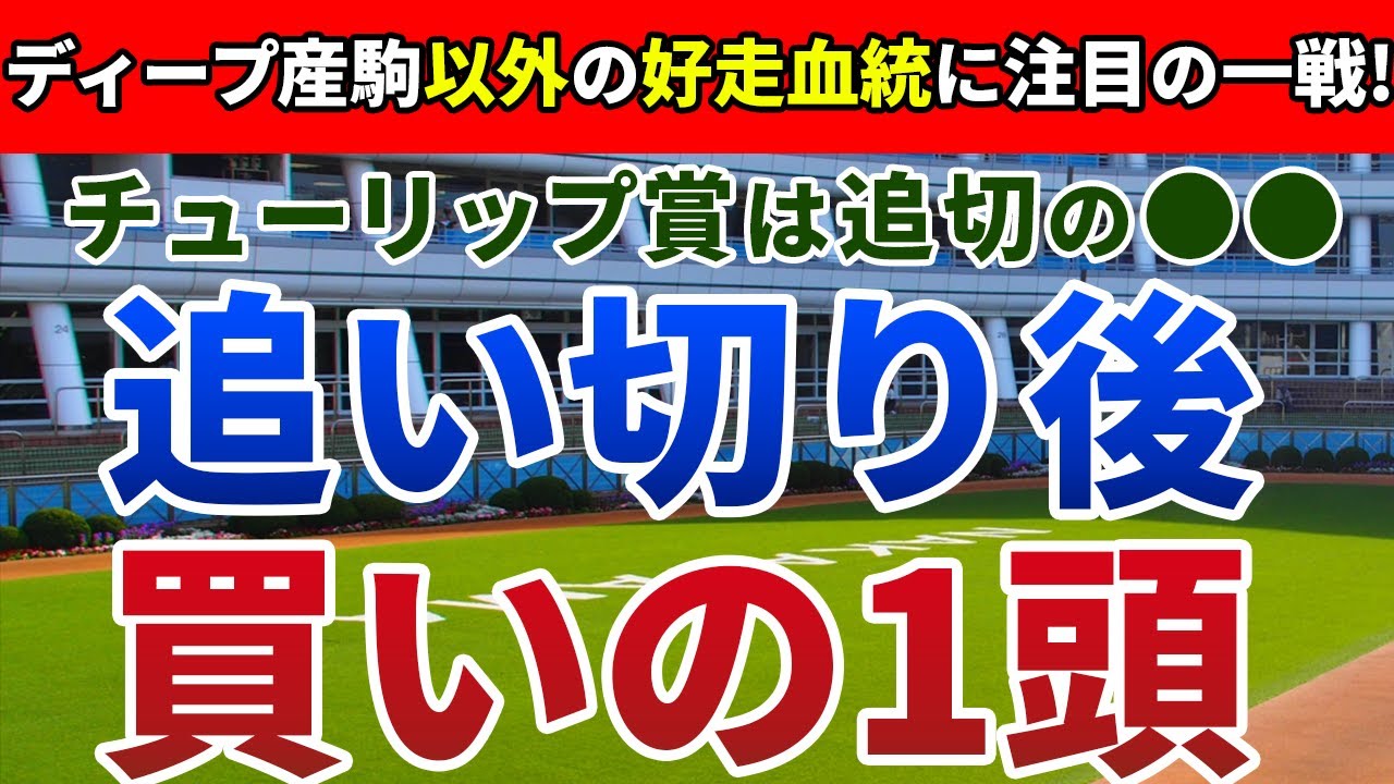チューリップ賞2023 追い切り後【買いの1頭】公開！抜けた馬がおらず混戦必至の前哨戦！適性と状態の良さを武器に激走するのは？