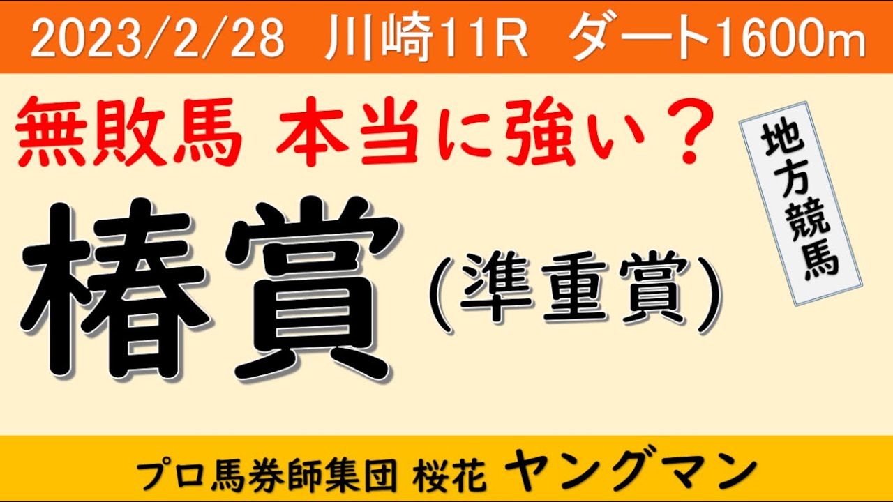 【椿賞2023】ヤングマン氏のレース予想！南関東クラシック重賞クラウンカップのトライアルレース！！昨年勝ち馬はその後の東京ダービー馬にも勝っている注目の１戦
