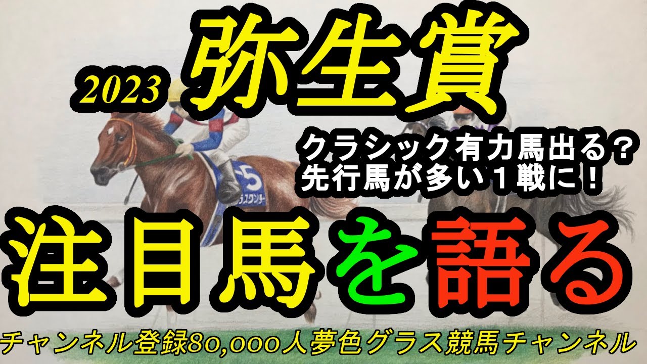 【注目馬を語る】2023弥生賞ディープインパクト記念！クラシックへ向けて評価抜けだす馬が出てくるのか？先行馬の多いレース！