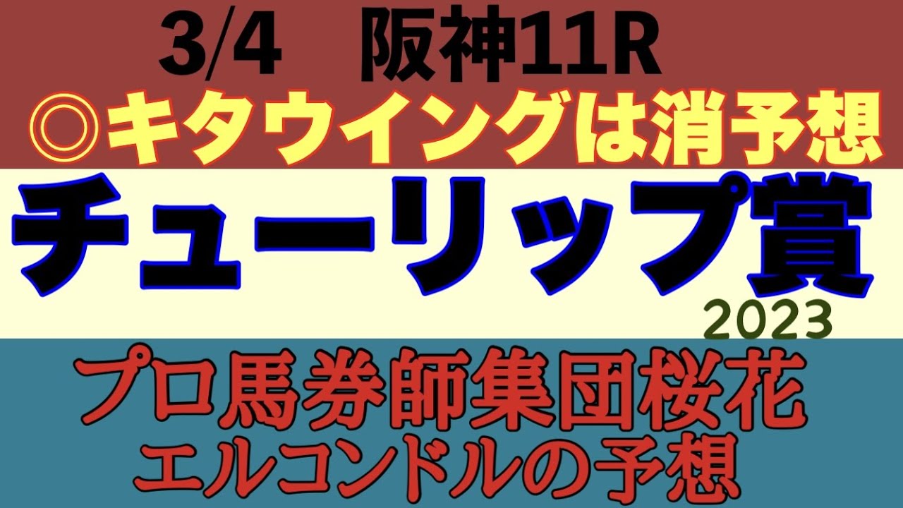プロ馬券師集団桜花エルコンドル氏のチューリップ賞2023予想！３着までに桜花賞優先出走権が与えられる注目レース！ドゥーラとキタウイングが桜花賞を見据えての仕上げなら他馬にもチャンスがあり難解なレース！