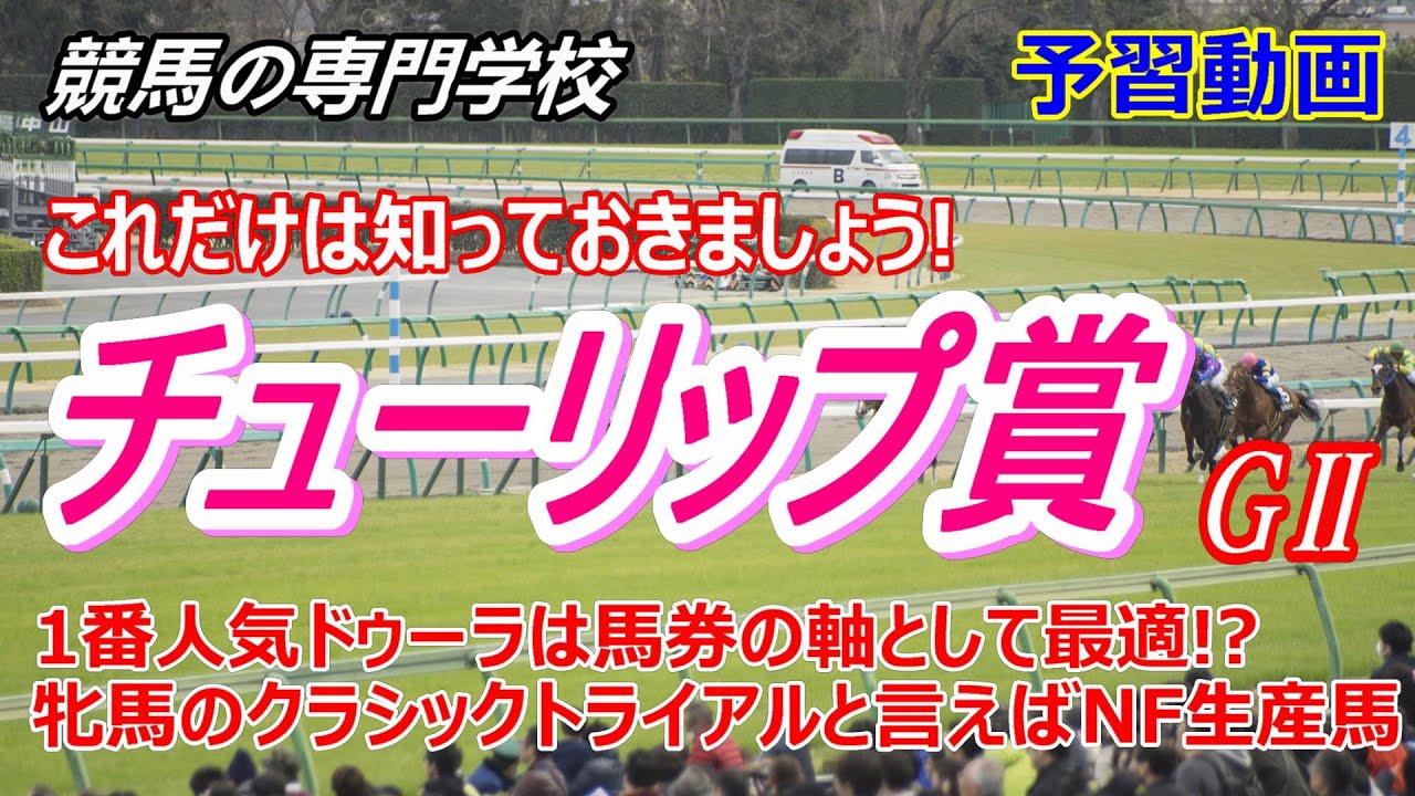 【チューリップ賞2023】予習動画 ドゥーラとノーザンF生産馬達