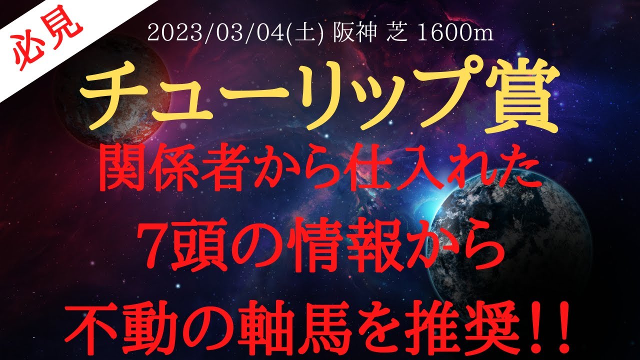 【 最終結論・裏情報 】チューリップ賞 2023 予想 関係者から仕入れた７頭の有力馬の情報から導く不動の軸馬公開！【 中央競馬予想 】