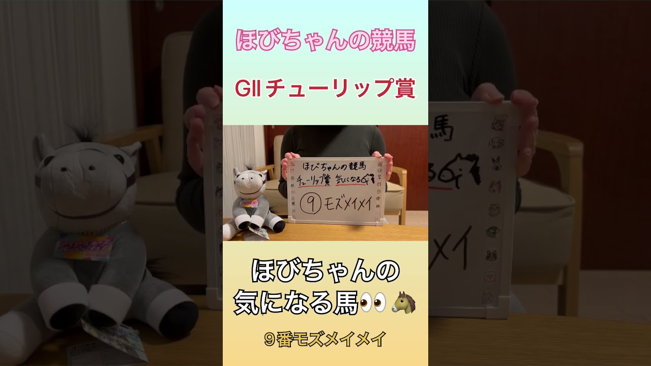 【ほびちゃんの競馬】GⅡ チューリップ賞 2023 気になる馬👀🐴 #shorts #競馬 #競馬予想 #競馬女子 #阪神競馬場