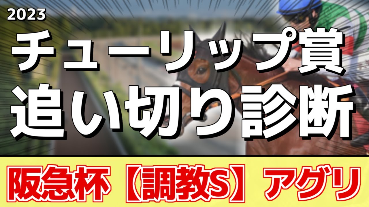 追い切り徹底解説！【チューリップ賞2023】ドゥーラ、キタウイングなどの状態はどうか？調教S評価は2頭！