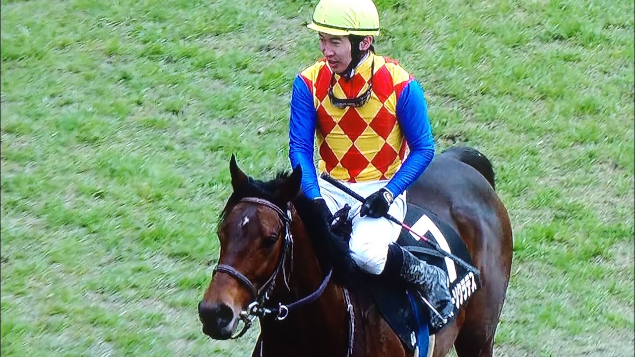 小倉8レース春麗ジャンプステークス テーオーソクラテス