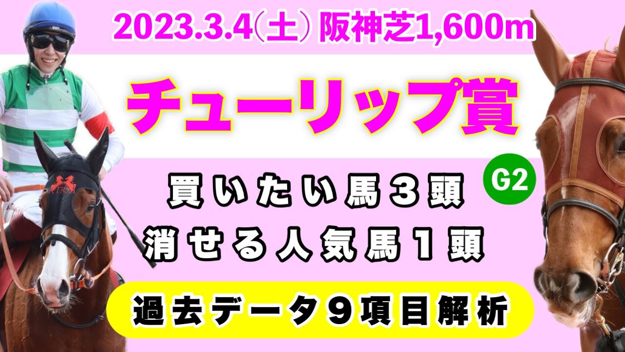 【チューリップ賞2023】過去データ9項目解析!!買いたい馬3頭と消せる人気馬1頭について(競馬予想)