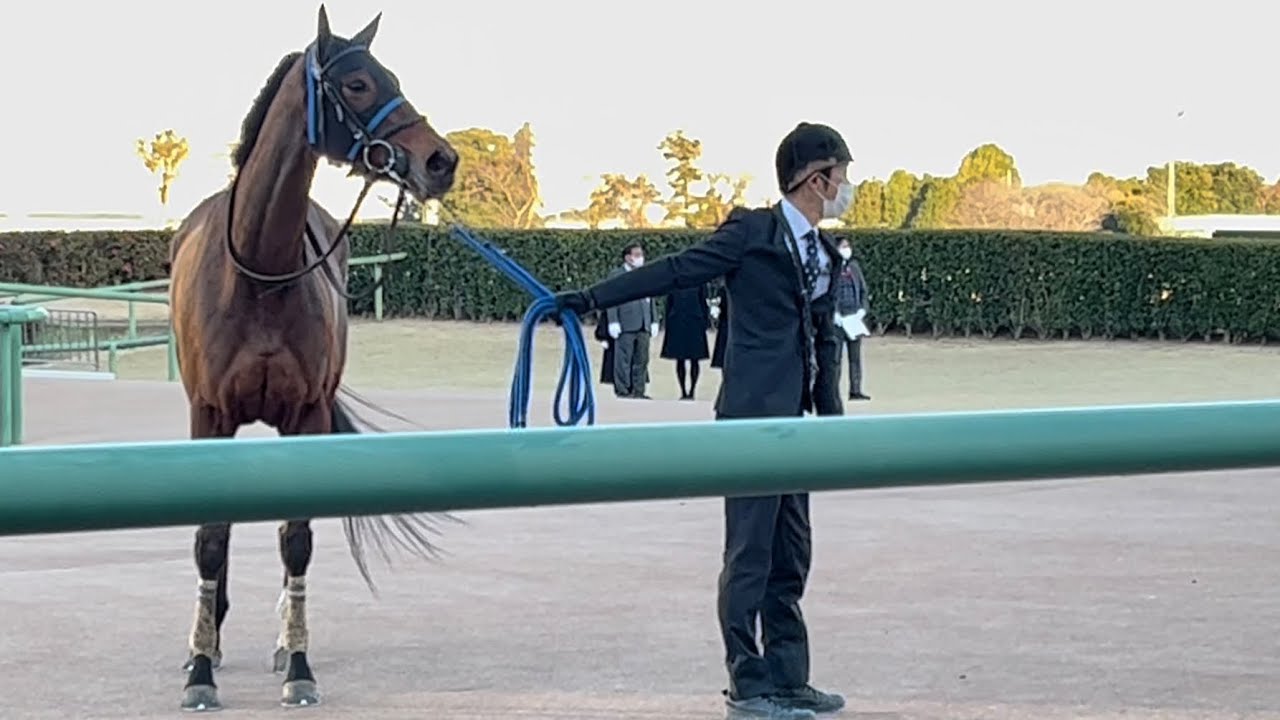 払い戻しの音楽が鳴り「お！」と反応するスルーセブンシーズ