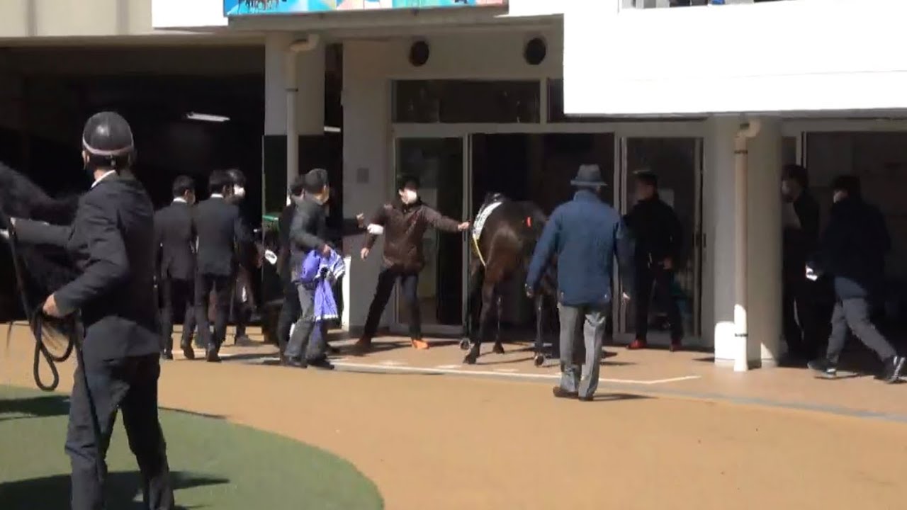 パドック騒然！放馬して騎手控え室に突っ込みそうになるサッチモ！！
