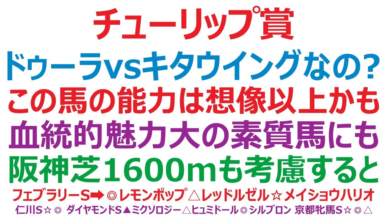 チューリップ賞2023予想　ドゥーラvsキタウイング。これでいいの？ この馬の潜在能力は想像以上かも知れません。