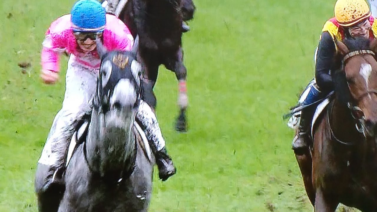小倉4レース障害未勝利 ワンダークローバー