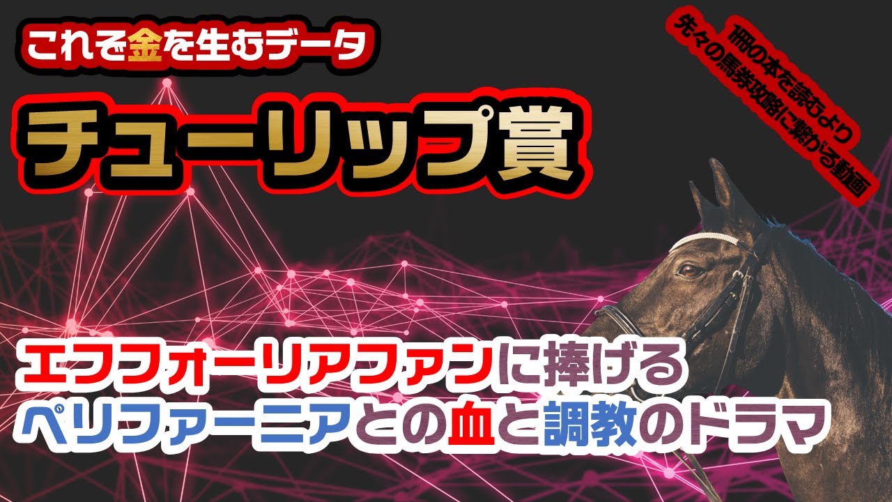 『エフフォーリアファン』の人に見てもらいたい《チューリップ賞2023 対策データ》ペリファーニアとエフフォーリアの『血と調教のドラマ』