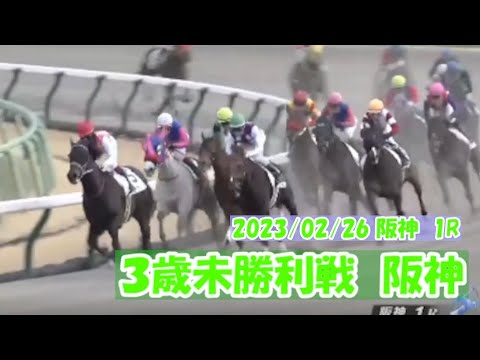 2023/02/26【パドック返し馬つき】阪神１R　３歳未勝利戦　　☆ジューンアース　ルーラーシップ　＃レースは11分ころから