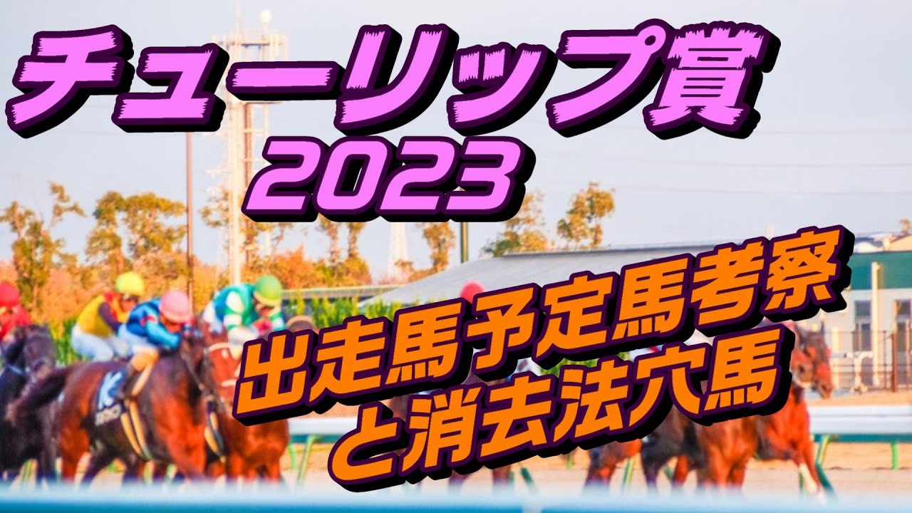 チューリップ賞2023出走馬予定馬データ分析と消去法予想