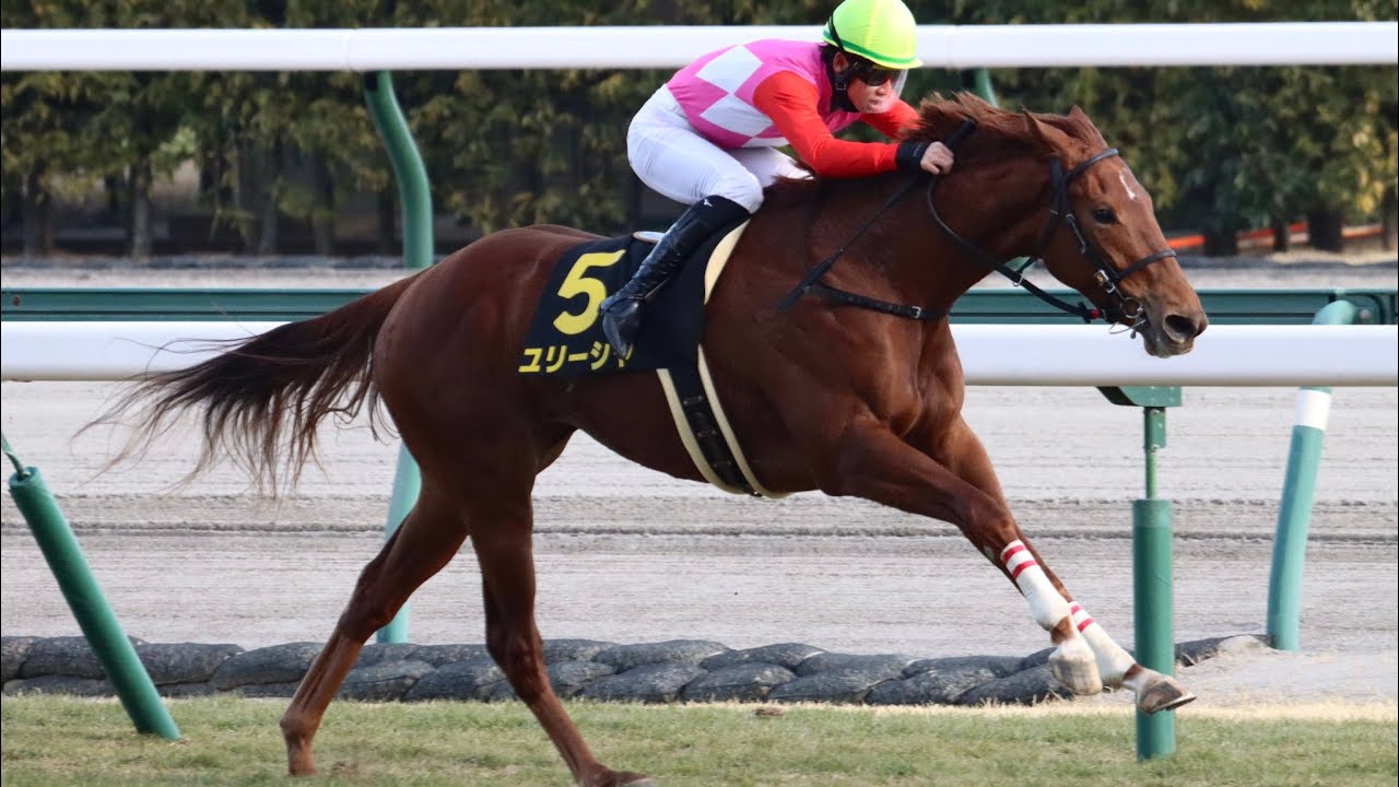 中京10Rエルフィンステークス2023ユリーシャ