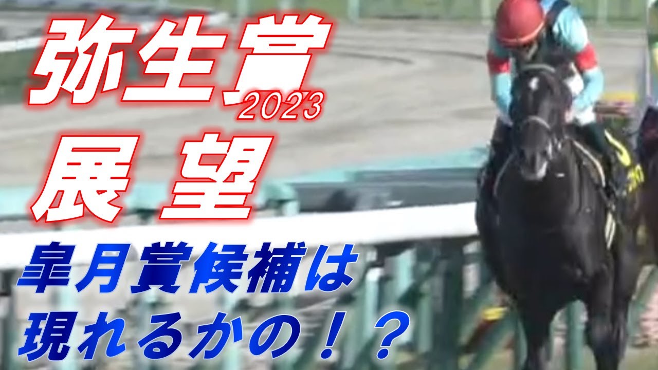 弥生賞2023　展望　トップナイフの始動戦！！　皐月賞候補は潜んでいるか！？　元馬術選手のコラム【競馬】