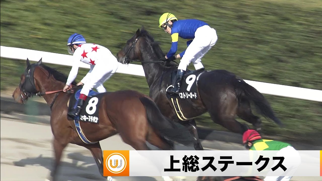 【2023】上総ステークス 中山競馬場10R ｜ウイニング競馬 2023年3月4日（土）