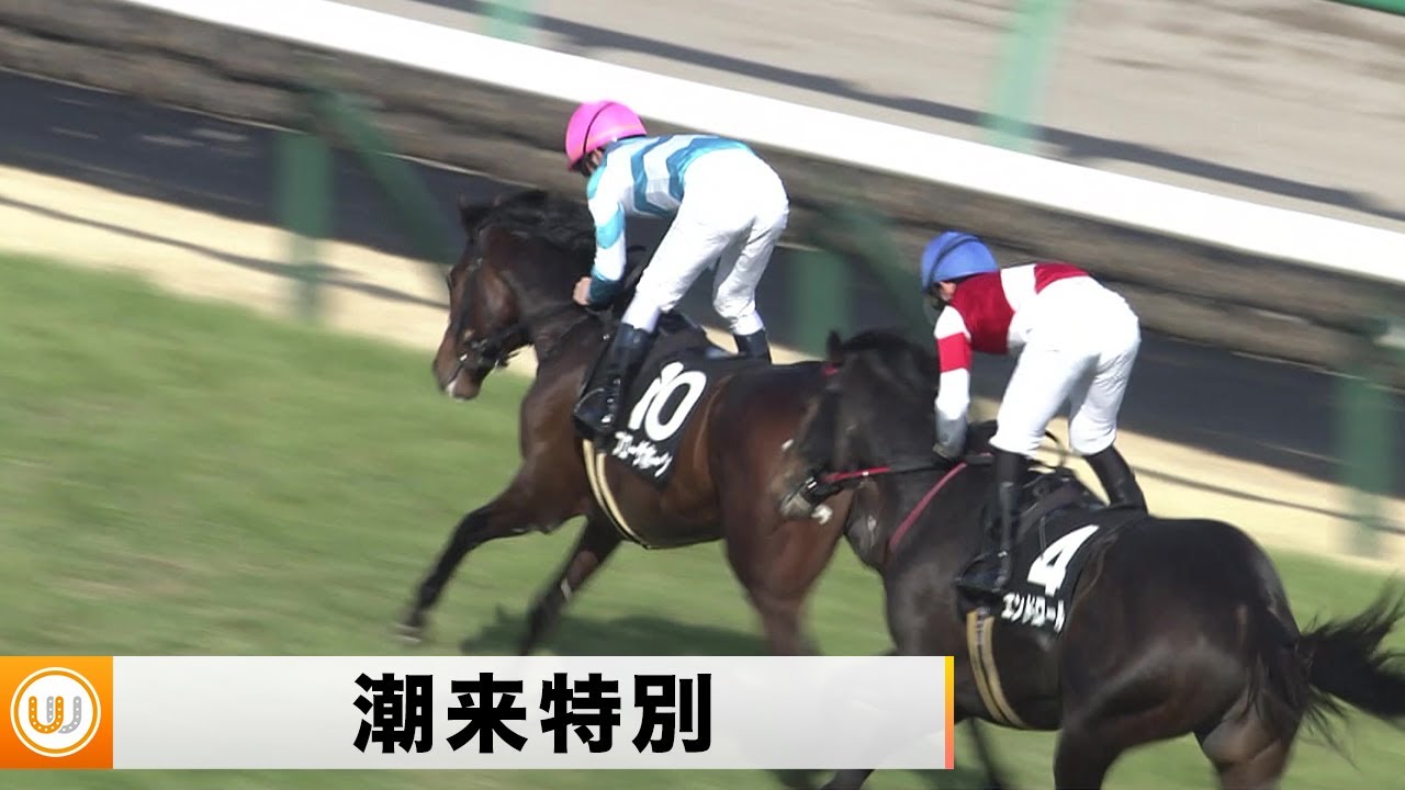 【2023】潮来特別 中山競馬場9R ｜ウイニング競馬 2023年3月4日（土）