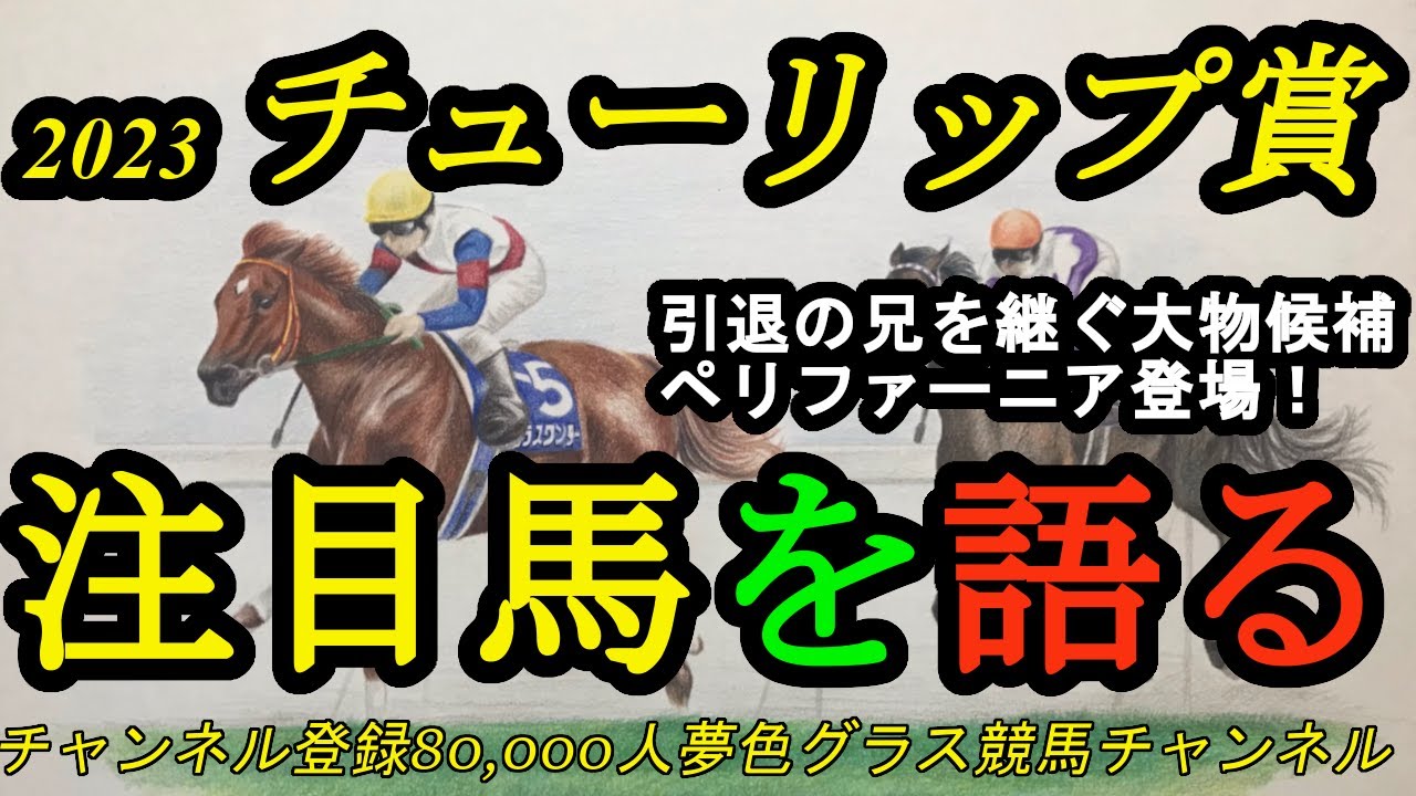 【注目馬を語る】2023チューリップ賞！引退した兄に代わりスターとなるかペリファーニア！強烈な末脚を秘める2勝馬も！