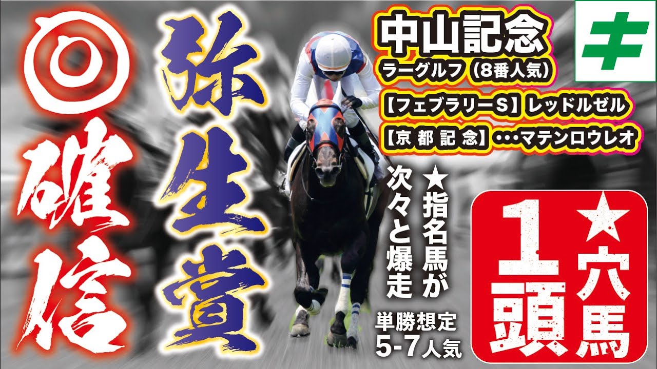 弥生賞 2023【予想/穴馬】皐月賞まで狙える大器！推定５〜７人気の「あの馬」を指名！