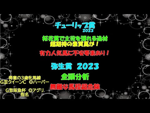 【チューリップ賞・弥生賞予想】チューリップ賞！超素質馬が１頭で桜花賞馬最有力・能力断然で超期待！弥生賞・今年は例年と違う傾向がでる最初の年になりそう