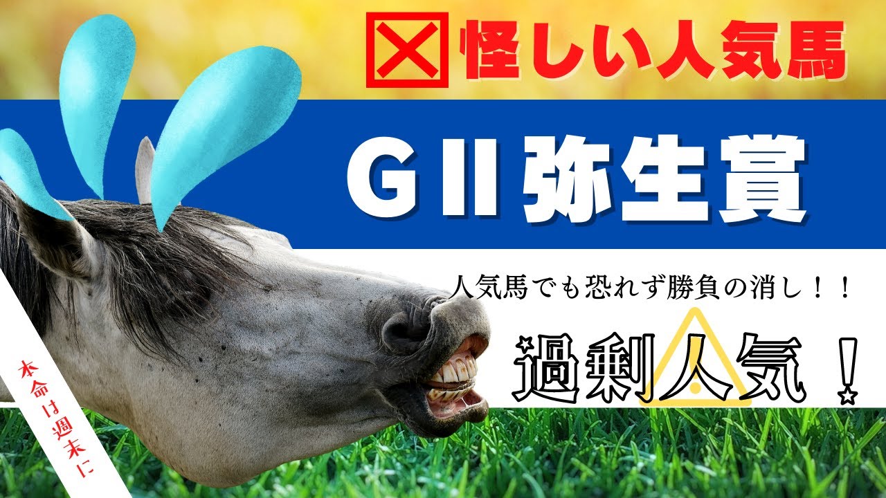 【弥生賞ディープインパクト記念2023】皐月賞への最重要ステップレース！今年は手薄気味で波乱ありか⁉危険な人気馬1頭選出