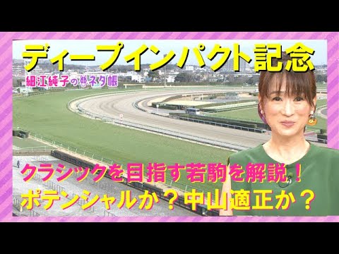ディープインパクト記念『細江純子のネタ帳』
