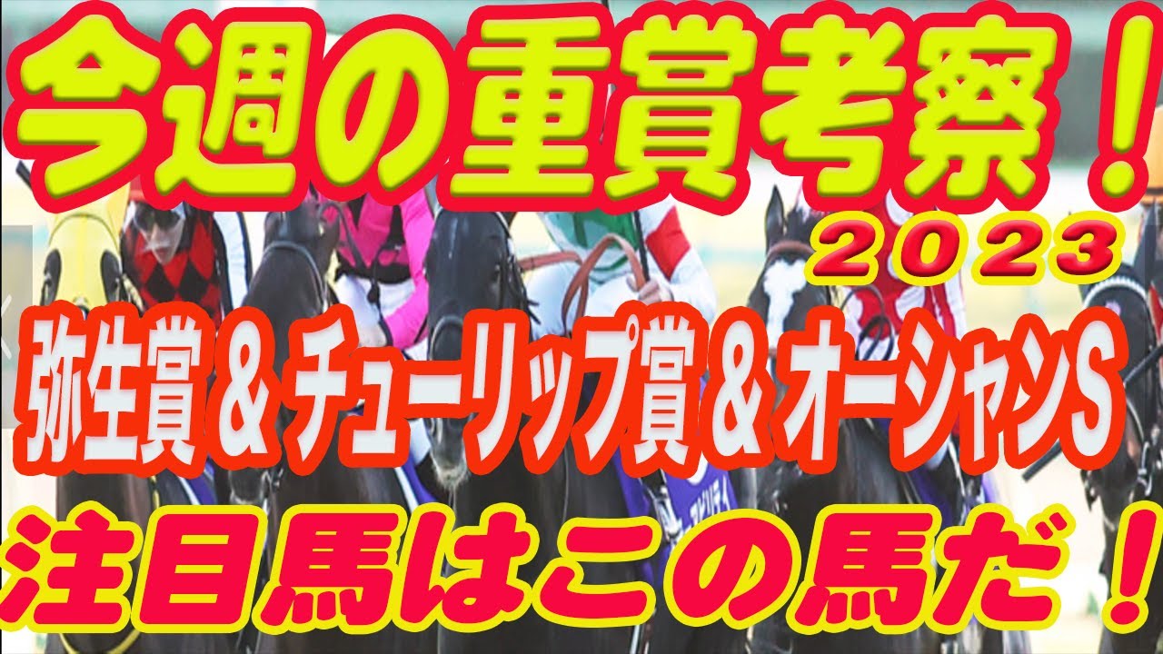 【 今週の重賞考察！】弥生賞&チューリップ賞&オーシャンSの考察！M氏の注目馬を馬券期待値（SからEの６段階）で発表！これを見れば今週の馬券に繋がります！